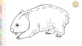 Cute Wombat drawing easy | How to draw A Wombat step by step | Animal drawing tutorials