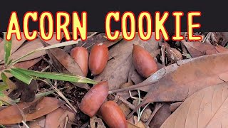 Acorn Cookie どんぐりクッキー