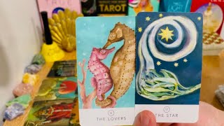 PISCES - TIME TO MEET YOUR SOULMATE PISCES.. NOW THEY WANT YOU! 💖🌈🍀💘🌺🎶 #tarot