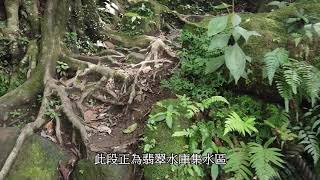 猴山岳二格山  第三段【阿柔洋到二格山】