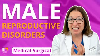 Male Reproductive Disorders - Medical Surgical @ LevelUpRN
