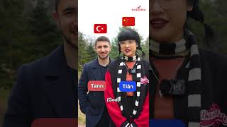🇨🇳 Chinese vs Turkish 🇹🇷