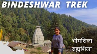 Bindeshwar mahadev trek  #मेला/ कोथिग।  बैकुंठ चतुर्दशी  #शिव  #शिवदर्शन