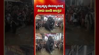 Kukke Subrahmanya Temple: ಕುಕ್ಕೆ ಸುಬ್ರಹ್ಮಣ್ಯ ದೇವಸ್ಥಾನದಲ್ಲಿ ನೀರು ಬಂಡಿ ಉತ್ಸವ