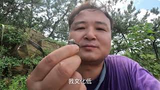 50块就能吃帝王蟹？几位没吃过海鲜的穷人，花小钱吃海鲜大咖