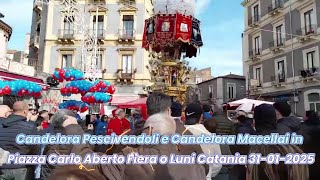 Candelora Pescivendoli e Candelora Macellai in Piazza Carlo Aberto Fiera o Luni Catania 31- 01 -2025