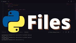 [34] Files in Python | Python for Beginners