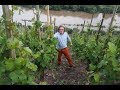 In the spectacular Mosel wine region with Ernie Loosen