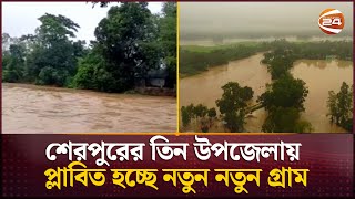 শেরপুরের তিন উপজেলায় প্লাবিত হচ্ছে নতুন নতুন গ্রাম | Sherpur Flood | Channel 24