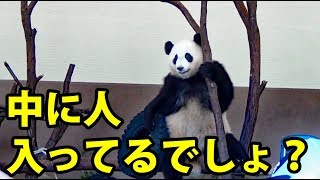 【上野信者】和歌山のパンダやばすぎｗｗｗｗｗｗｗｗｗｗ