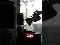 Arabica and robusta coffee beans | Manual brew | Pour over