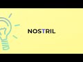 what is the meaning of the word nostril