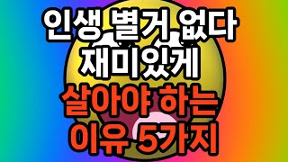 인생 별거 없다 재미있게 살아야 하는 이유 5가지 #노후준비 #자기계발 #삶의지혜