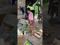 Proses penggilingan sagu untuk makan kuda