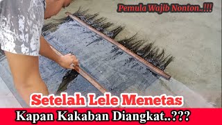 WAKTU YANG TEPAT ANGKAT KAKABAN