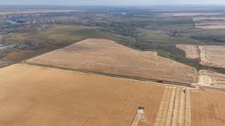 Day 19 (8/10) - Highwood, Montana Harvest