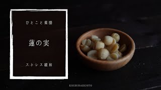 【ひとこと薬膳】蓮の実