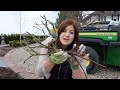 Planting A Few Bare Root Roses! 🌹😊// Garden Answer