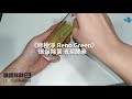 ☼年前大掃除☼綠極淨reno green環保型除菌清潔酵