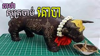 គាថា សូត្រចាប់(គោបា)