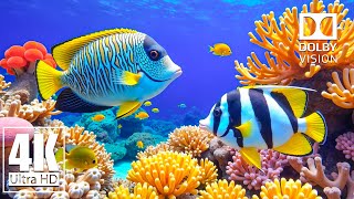 Ocean 4K ULTRA HD - Beautiful Reef Harmony, Vibrant Marine Life and Relaxing Music for Stress Relief