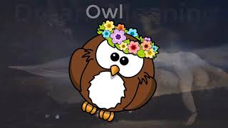 What happens if  Owl. come in dream?