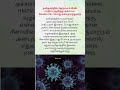 தமிழகத்தில் ஹெச்.எம்.பி.வி பாதிப்பு குறித்து அச்சப்பட வேண்டாம் பொது சுகாதாரத்துறை hmpv virus