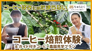 コーヒー好き必見！自分好みに焙煎したコーヒー豆でいただく1杯＆ガイドと一緒にコーヒー農園見学|糸満市