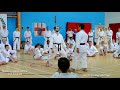 masao kagawa shihan high mawashi geri kick