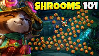 A GUIDE to EVERYTHING you need to know about TEEMO SHROOMS 🍄