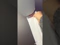 Brennaazoe Cat Toilet Paper TikTok