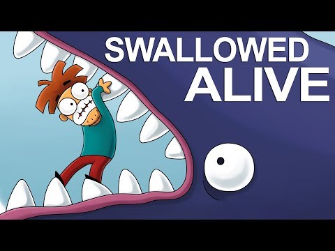 What If the Whale Swallowed You Alive? What If the Whale Swallowed You Alive?