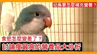 緊急案！寵物鳥食慾「大幅下降」該如何處理？5種「討論度最高」的鸚鵡營養品正式大分析！Nutrition for parrots【鸚鵡小木屋】