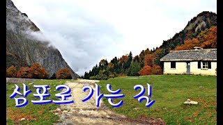 삼포로 가는 길  -  강은철  (가사)