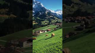 Amazing Adelboden, Switzerland. great place there