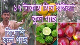 বৈদ্য নার্সারি | Baidya Nursery