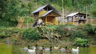 CEO Trieu Khang Expands His Green Farm, Welcoming New and Vibrant Members to the Community