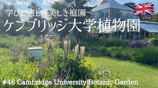 #48 世界中の植物たちが集められた学びと憩いの美しき庭 | ケンブリッジ大学植物園 | ボタニック・ガーデン