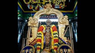 திருச்சிராப்பள்ளி ஸ்ரீரங்கம் அருள்மிகு ஸ்ரீ அரங்கநாத சுவாமி திருக்கோவில் பகல் பத்து திருவிழா - 2022