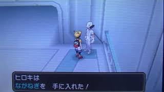 外国のカモネギ事情【ポケモンウルトラサンムーン】