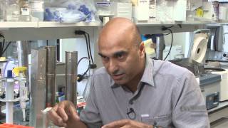 Avtar Roopra on the Importance of Basic Research