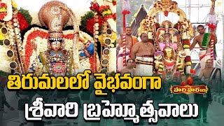 తిరుమలలో వైభవంగా శ్రీవారి బ్రహ్మోత్సవాలు | Tirumala Brahmotsavalu | Hari Hara