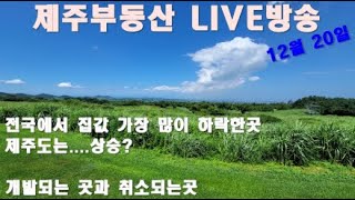 [LIVE]제주부동산실시간. 제주도집값은 왜 안 떨어져? 개발되는 곳과 개발취소되는곳은.. #제주도투자 #부동산공부 #제주도땅 #제주토지매매