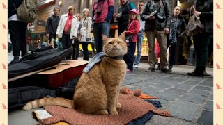 A STREET CAT NAME BOB SUBTITLE INDONESIA