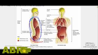 ABR Basics - Trunk Control. By Leonid Blyum