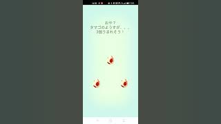 ポケモンGO★12km★タマゴ３連ガチャ永遠に来ないヤトウモリ♀チャレンジ《2022年11月4日》#shorts