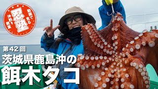 エギタコ～茨城県鹿島で渡りの大ダコ狙い～【忍塾THE・ムービー42】