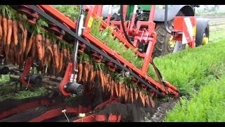 amazing Tulip harvesting machine 2016 - Awesome modern Tulip harvester equipment compilati