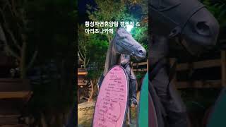 횡성자연휴양림 아리조나카페 #횡성 #자연휴양림 #캠핑장 #아이와가볼만한곳