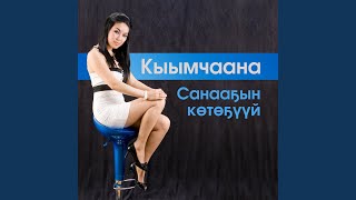 Биир Тылы